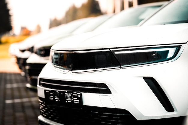 Late-model vehicles on a scenic road